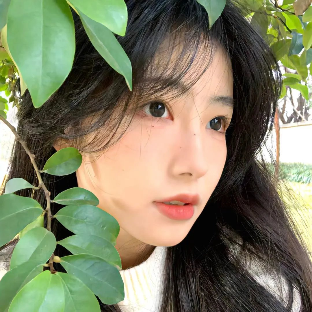 爱在哈佛国语
