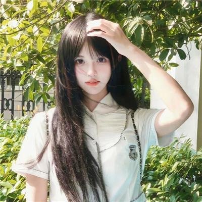完美革命